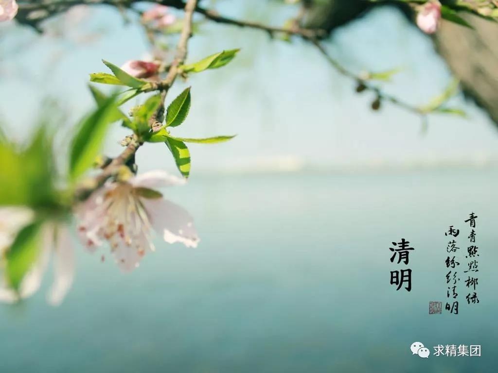 ΢ͼƬ_20190404164243